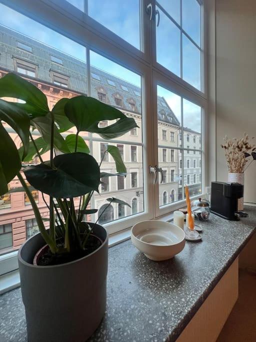 Koselig Leilighet I Sentrum Av Oslo Med Byutsikt! Exteriér fotografie