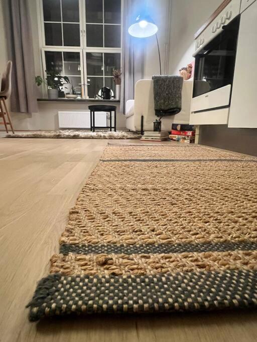 Koselig Leilighet I Sentrum Av Oslo Med Byutsikt! Exteriér fotografie