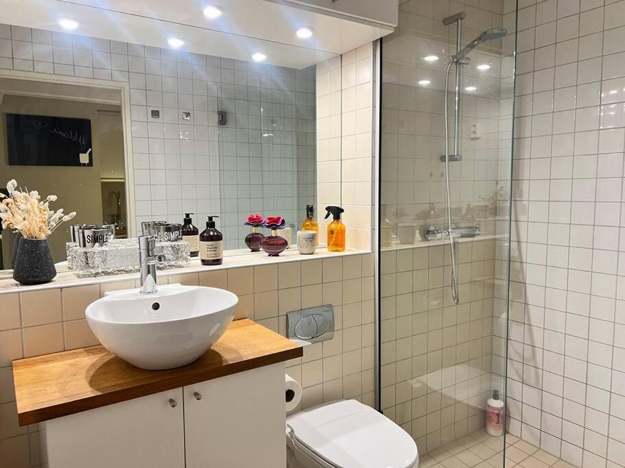 Koselig Leilighet I Sentrum Av Oslo Med Byutsikt! Exteriér fotografie
